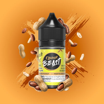 Flavour Beast Salt Nic