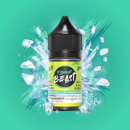 Flavour Beast Salt Nic